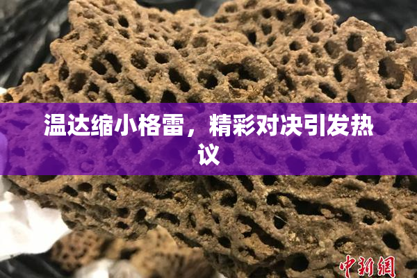 温达缩小格雷，精彩对决引发热议