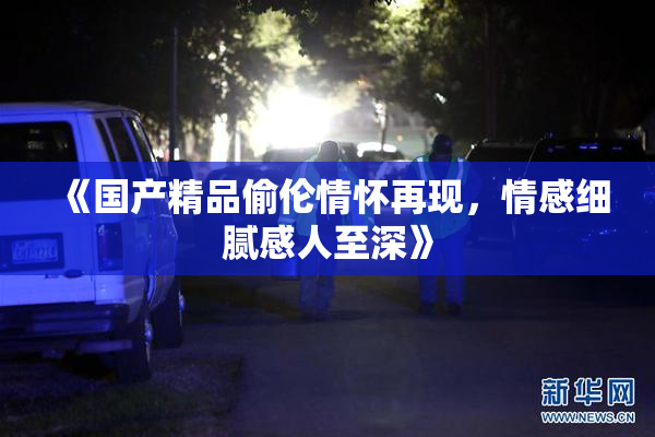 《国产精品偷伦情怀再现，情感细腻感人至深》