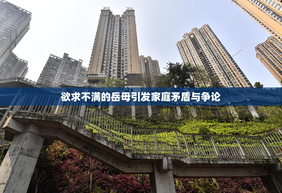欲求不满的岳母引发家庭矛盾与争论