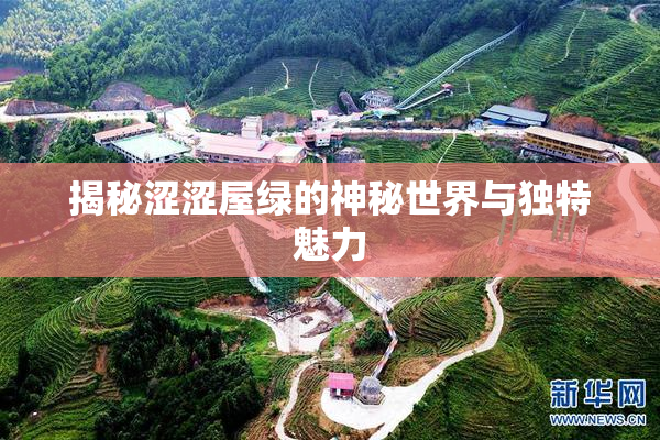 揭秘涩涩屋绿的神秘世界与独特魅力