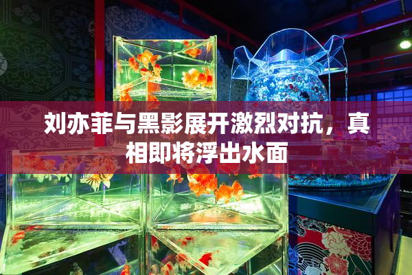 刘亦菲与黑影展开激烈对抗，真相即将浮出水面