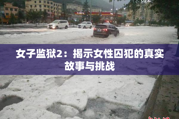 女子监狱2：揭示女性囚犯的真实故事与挑战