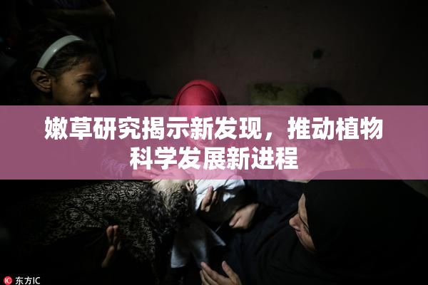 嫩草研究揭示新发现，推动植物科学发展新进程