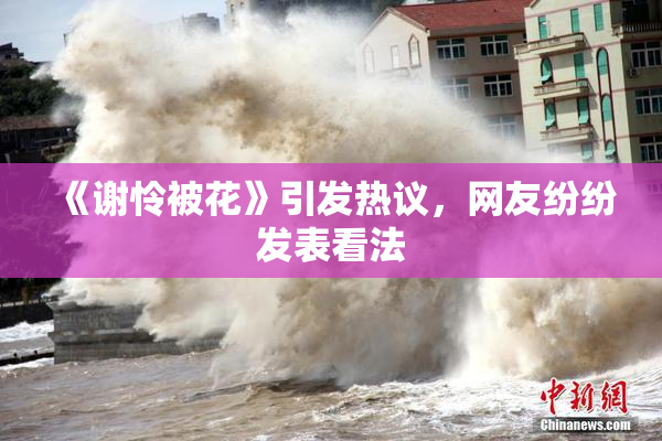 《谢怜被花》引发热议，网友纷纷发表看法