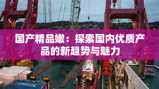 国产精品嫩：探索国内优质产品的新趋势与魅力