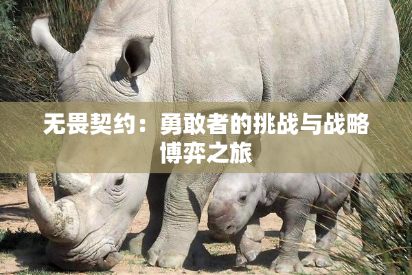 无畏契约：勇敢者的挑战与战略博弈之旅