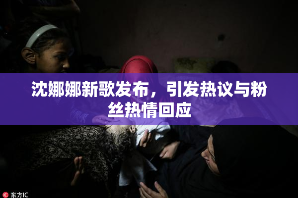 沈娜娜新歌发布，引发热议与粉丝热情回应