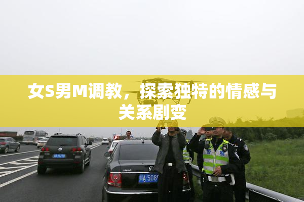 女S男M调教，探索独特的情感与关系剧变