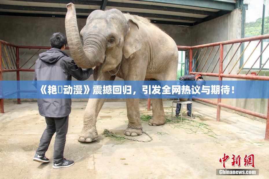 《艳鉧动漫》震撼回归，引发全网热议与期待！