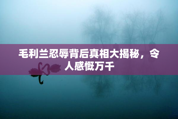 毛利兰忍辱背后真相大揭秘，令人感慨万千