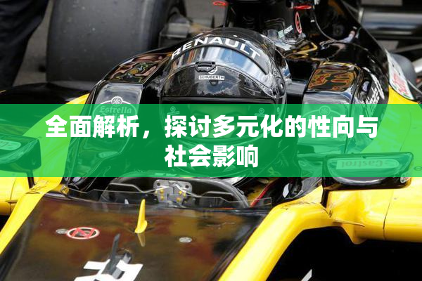 全面解析，探讨多元化的性向与社会影响