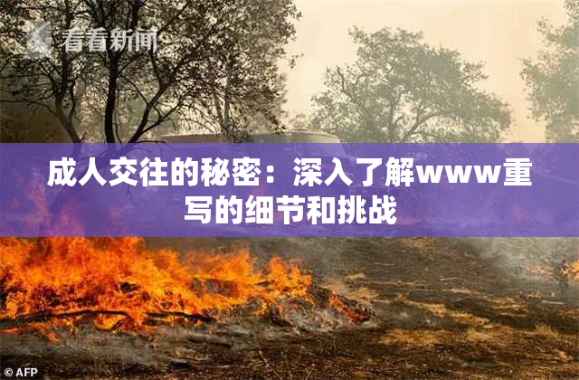 成人交往的秘密：深入了解www重写的细节和挑战