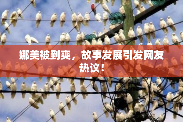娜美被到爽，故事发展引发网友热议！