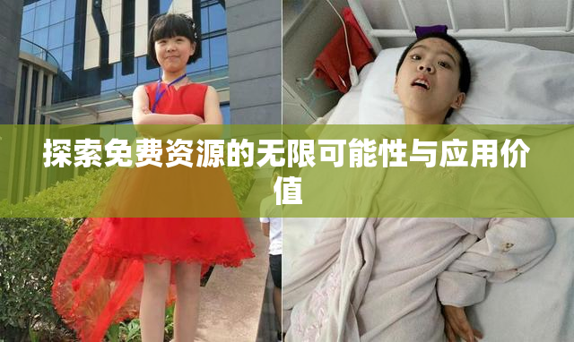 探索免费资源的无限可能性与应用价值