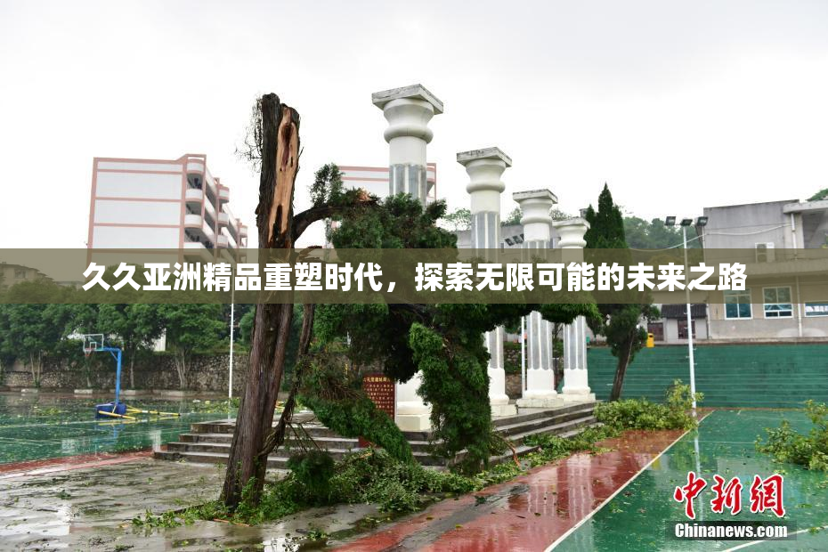 久久亚洲精品重塑时代，探索无限可能的未来之路