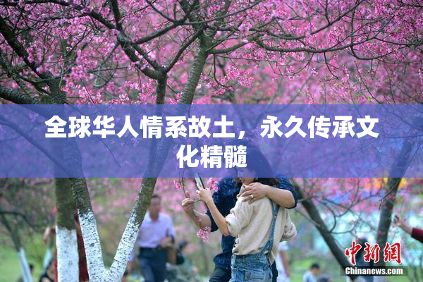 全球华人情系故土，永久传承文化精髓