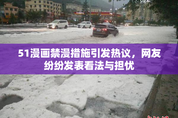 51漫画禁漫措施引发热议，网友纷纷发表看法与担忧