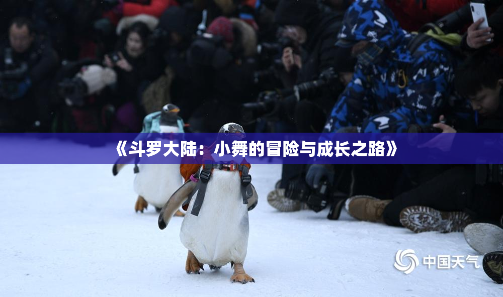 《斗罗大陆：小舞的冒险与成长之路》