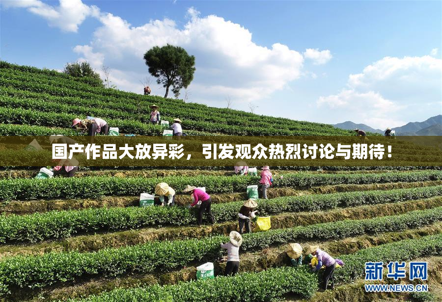 国产作品大放异彩，引发观众热烈讨论与期待！