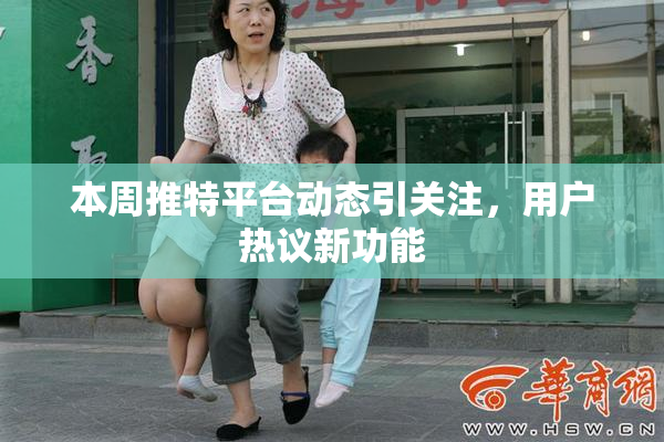 本周推特平台动态引关注，用户热议新功能