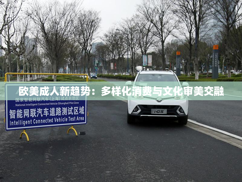 欧美成人新趋势：多样化消费与文化审美交融