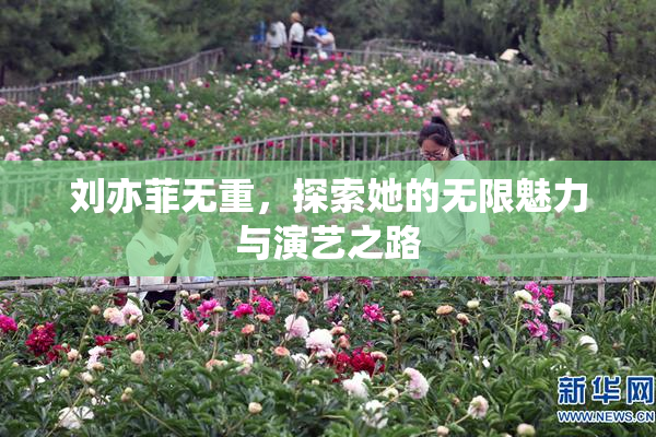 刘亦菲无重，探索她的无限魅力与演艺之路