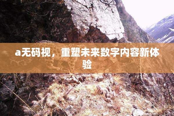 a无码视，重塑未来数字内容新体验