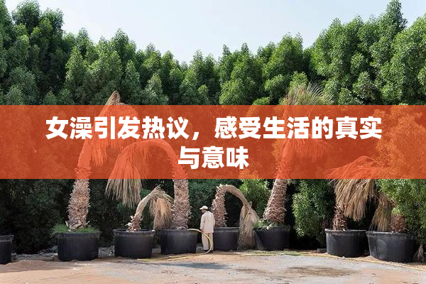 女澡引发热议，感受生活的真实与意味