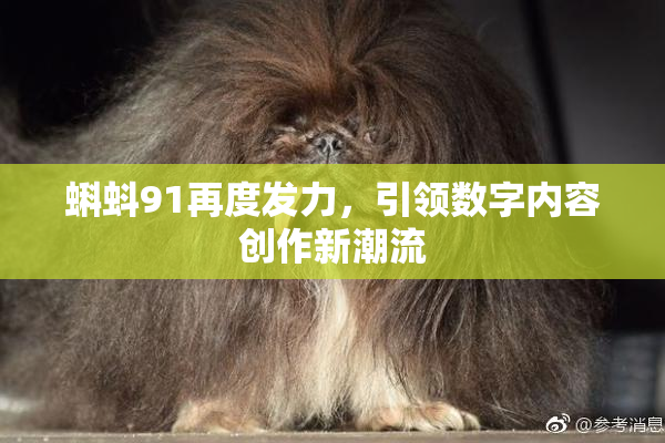 蝌蚪91再度发力，引领数字内容创作新潮流