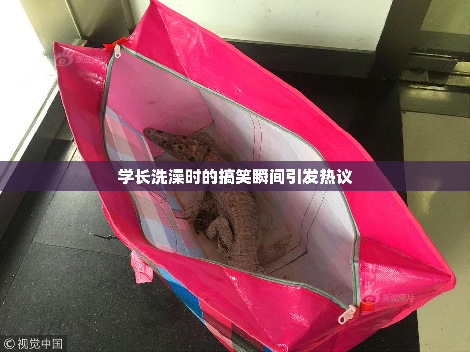 学长洗澡时的搞笑瞬间引发热议
