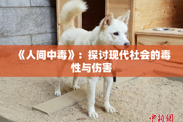 《人间中毒》：探讨现代社会的毒性与伤害
