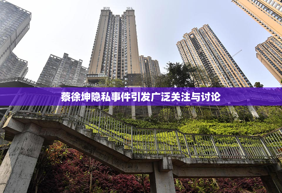 蔡徐坤隐私事件引发广泛关注与讨论