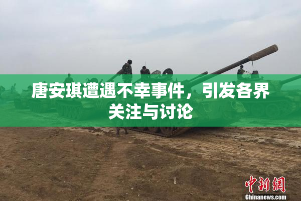 唐安琪遭遇不幸事件，引发各界关注与讨论