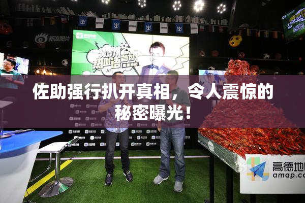 佐助强行扒开真相，令人震惊的秘密曝光！