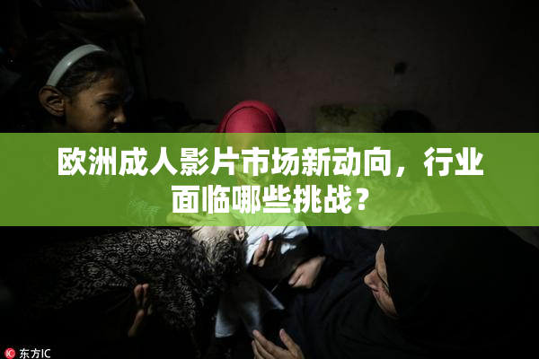 欧洲成人影片市场新动向，行业面临哪些挑战？