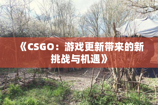 《CSGO：游戏更新带来的新挑战与机遇》