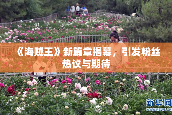 《海贼王》新篇章揭幕，引发粉丝热议与期待