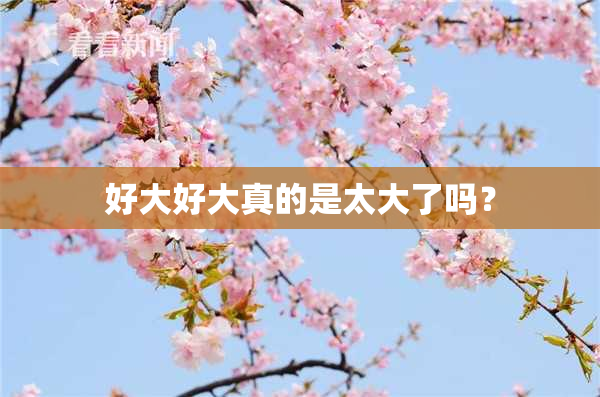 好大好大真的是太大了吗？