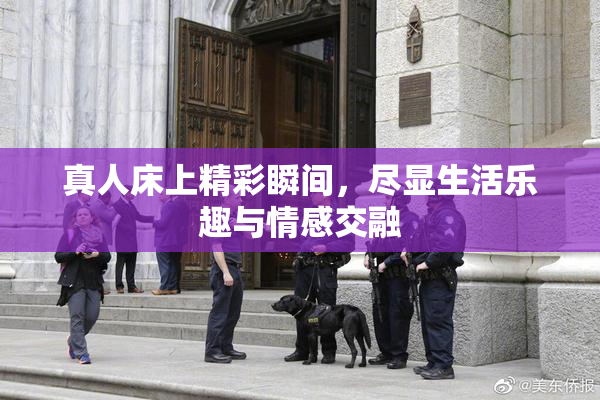 真人床上精彩瞬间，尽显生活乐趣与情感交融