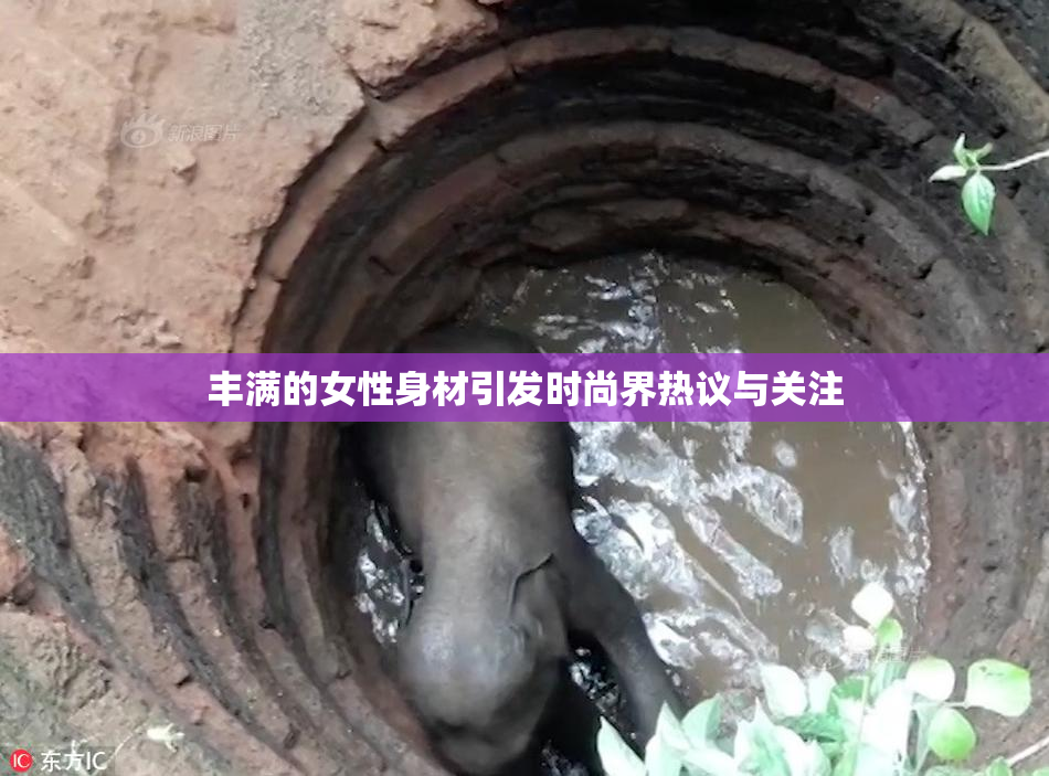 丰满的女性身材引发时尚界热议与关注
