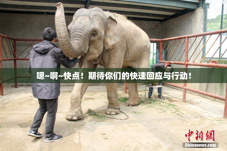 嗯~啊~快点！期待你们的快速回应与行动！