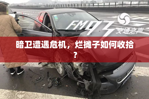 暗卫遭遇危机，烂摊子如何收拾？