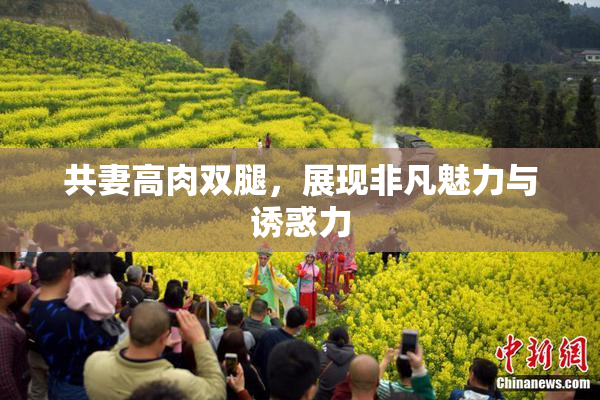 共妻高肉双腿，展现非凡魅力与诱惑力