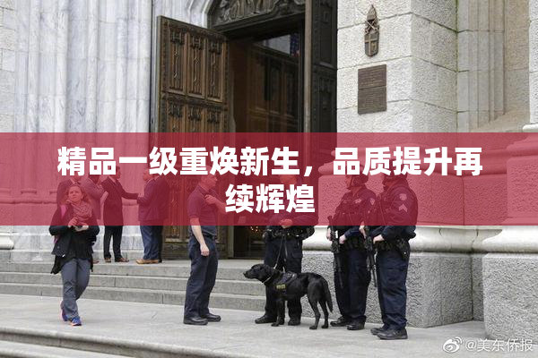 精品一级重焕新生，品质提升再续辉煌