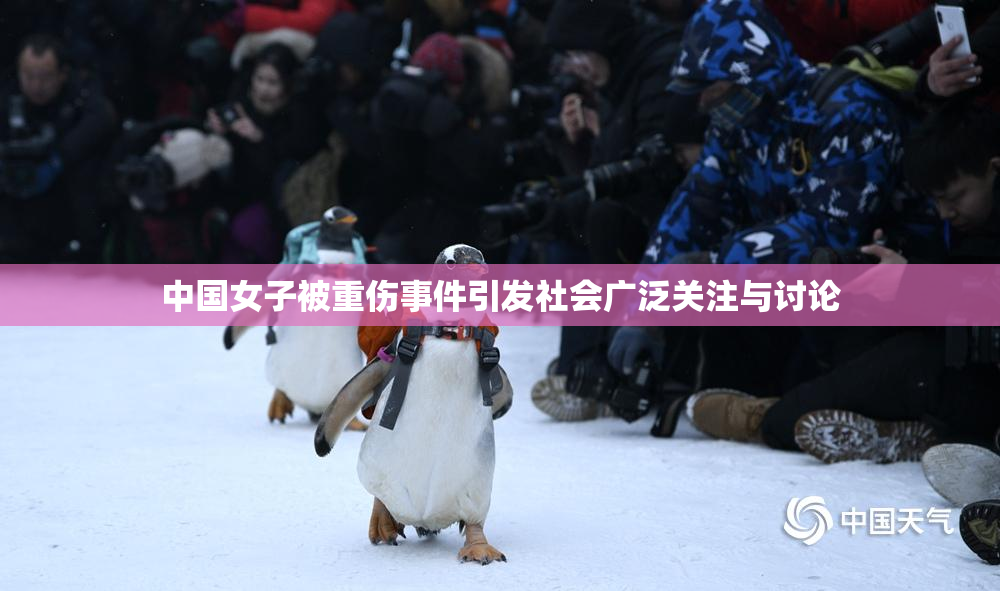 中国女子被重伤事件引发社会广泛关注与讨论