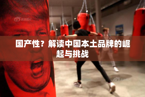 国产性？解读中国本土品牌的崛起与挑战