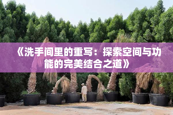《洗手间里的重写：探索空间与功能的完美结合之道》