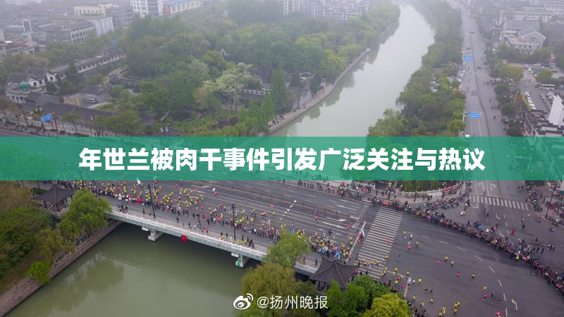 年世兰被肉干事件引发广泛关注与热议