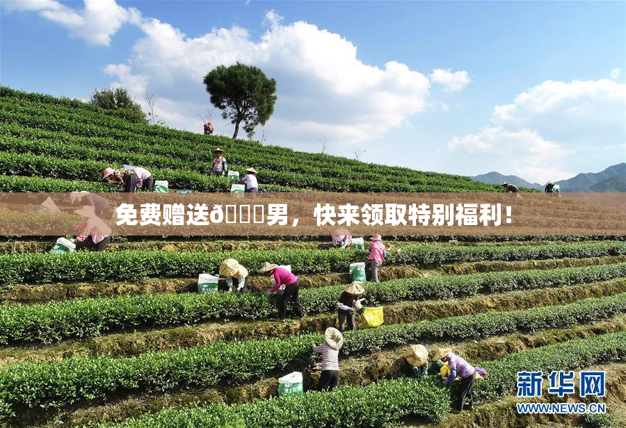 免费赠送🔞男，快来领取特别福利！