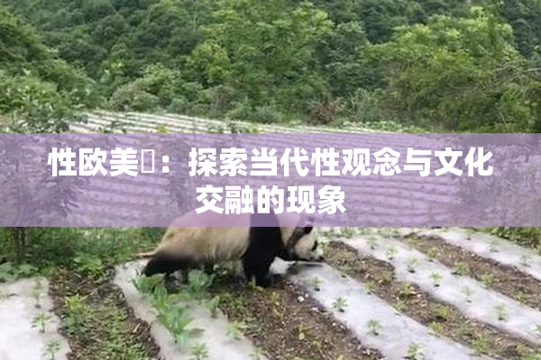 性欧美婬：探索当代性观念与文化交融的现象